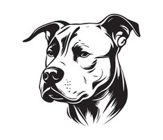 a black and white drawing of a dog's head with the word pitbull on