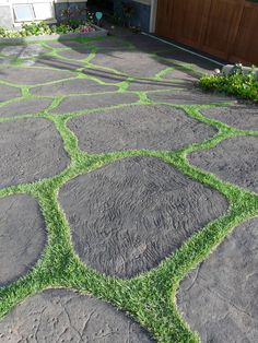 a driveway with grass growing on it