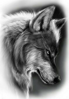 a black and white photo of a wolf