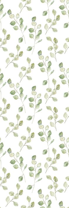 a white background with green leaves on it