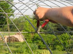 a person is holding scissors to the side of a wire structure with grass and trees in the background