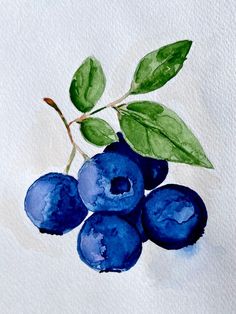 watercolor painting of blueberries with green leaves