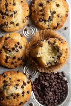 chocolate chip muffins in a muffin tin with other muffins and chocolate chips