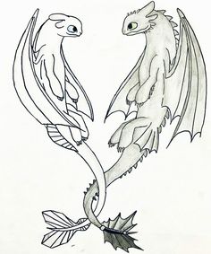 two different types of dragon drawings are shown in this drawing, one is white and the other is black