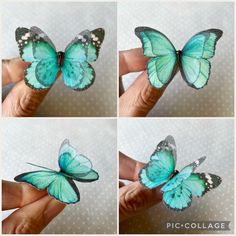 four pictures of butterflies being held by someone's hand with the same color as their wings