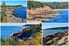 four different views of rocky coastlines and trees