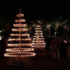 several lit up trees in the middle of a park at night with people standing around them