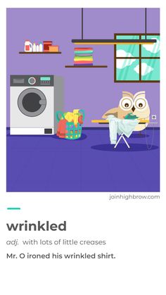 an owl sitting on a chair in front of a washing machine with the words wrinkled