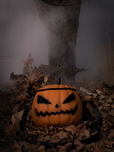 a pumpkin sitting on top of leaves in front of a tree