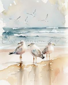 three seagulls are standing on the beach near the water