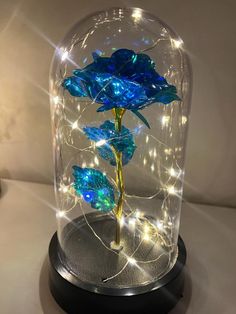 a blue rose in a glass dome with lights