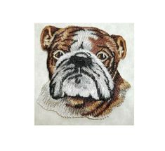 a close up of a dog's face on a piece of cloth with a white background