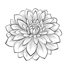 a black and white drawing of a large flower with leaves on it's petals