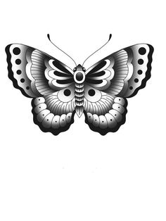 a black and white butterfly on a white background