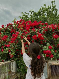 Aesthetic Wallpaper For Girls Dp, Pictures Of Roses Photography, Girly Photography With Flowers, Aesthetic Photos Girly, Girl With Roses Aesthetic, Rose Girl Aesthetic, Picture Girly Cute, Flowers Pictures Instagram, Dp For Girls Aesthetic