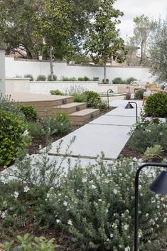 an outdoor garden with white flowers and plants