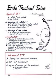 the endo tracheal tube diagram