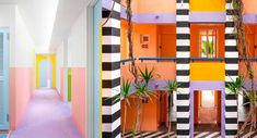 the inside and outside of a building with colorful walls, plants on each side of the door