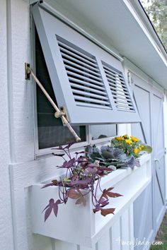 a window sill with plants growing out of it