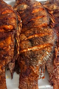 two large pieces of meat sitting on top of a white plate next to each other