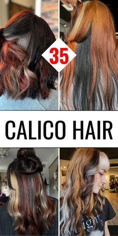 Calico hair combines both subtle and bold color tones, making it ideal for curly hairstyles. Black women can enhance their look with this dynamic dye, whether on short hair or afro-inspired curls. Braids or bangs can add extra dimension, and whether you prefer dark or light shades, this style is versatile enough to suit any personal taste. Calico Hair Tutorial, Skunk Highlights Brown Hair, Calico Colored Hair, Calico Hair Placement, Block Hair Coloring, Three Toned Hair