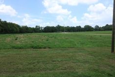 an empty field with trees in the background