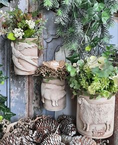 pine cones and other plants are on display in front of an old wooden paneled wall