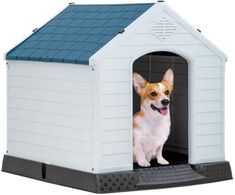 a small dog is sitting in his kennel