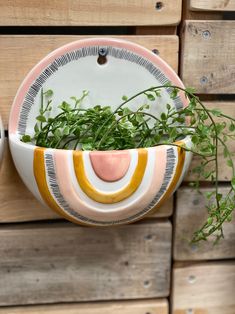 a plant in a bowl hanging from the side of a wooden wall next to another potted plant