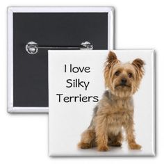 a small brown dog sitting in front of a white button with the words i love silky terriers on it