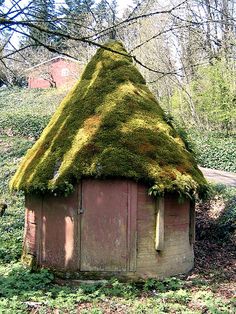 an old outhouse covered in moss with a roof that has been turned into a house