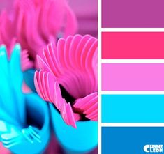 there are pink and blue flowers in the vases on this color scheme, which is very similar to each other