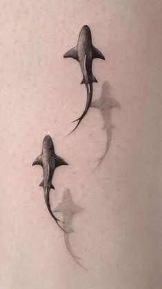 Shark Shadow Drawing, Ladybug Ear Tattoo, Maldives Tattoo Ideas, Shark Tattoo With Shadow, Maldives Tattoo, Shark Tattoo Drawing, Shark Tattoo Cute, Nuke Tattoo, Bull Shark Tattoo