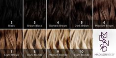 level 7 blonde hair short Brown Hair Levels, Level 8 Hair Color, Level 3 Hair, Blonde Hair Levels, Levels Of Hair Color, Level 6 Hair Color, Level 7 Hair Color, Hair Color Quiz, Madison Reed Hair Color