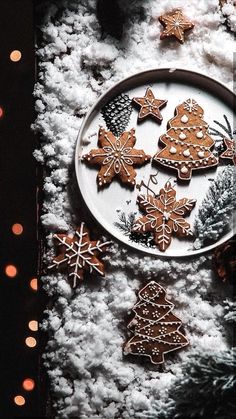 some cookies are on a plate in the snow