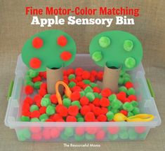 a plastic container filled with apples and carrots next to a paper bag that says fine motor - color matching apple sensory bin