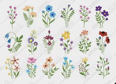 flower clipart set with different types of flowers and leaves, including the name svg dxf eps png