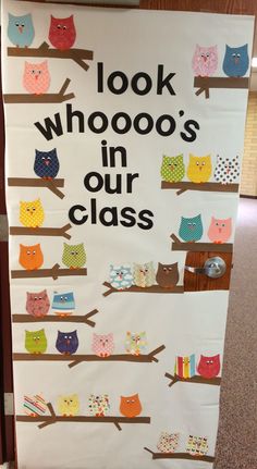 a bulletin board with owls on it that says, look whooo's in our class