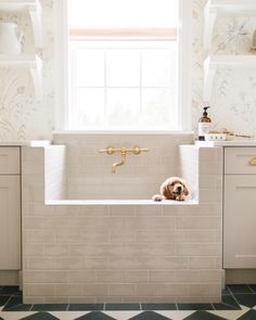 a dog is sitting in the bathtub