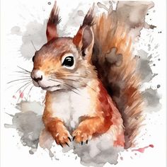 a watercolor painting of a squirrel