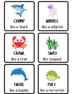 four different types of sea animals with words on them