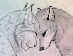 two wolfs are facing each other with their eyes closed and one has its head down