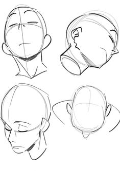 four different angles of the head