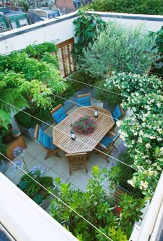 an aerial view of a table and chairs surrounded by greenery in a courtyard garden