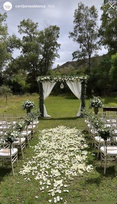 an outdoor ceremony setup with white flowers and greenery