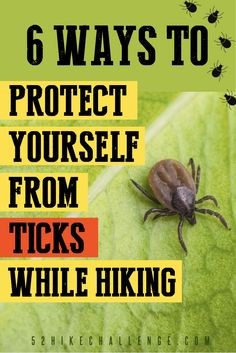 a tick on a green leaf with the words 6 ways to protect yourself from ticks while hiking