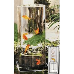 an aquarium with goldfish in it is shown