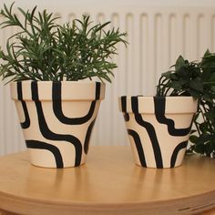 two potted plants sitting on top of a wooden table