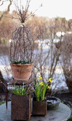 three potted plants sitting on top of a table next to some snow covered trees