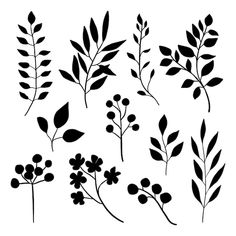 black and white silhouettes of different plants